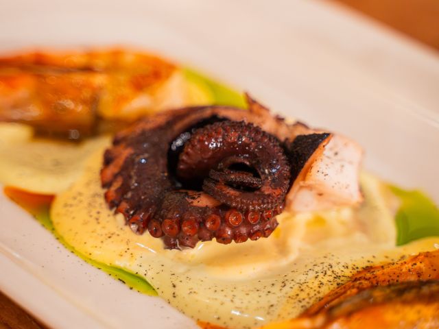 Pâquerette Pâquerette