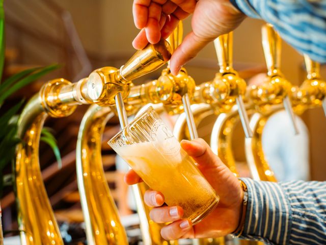 Pâquerette Pâquerette