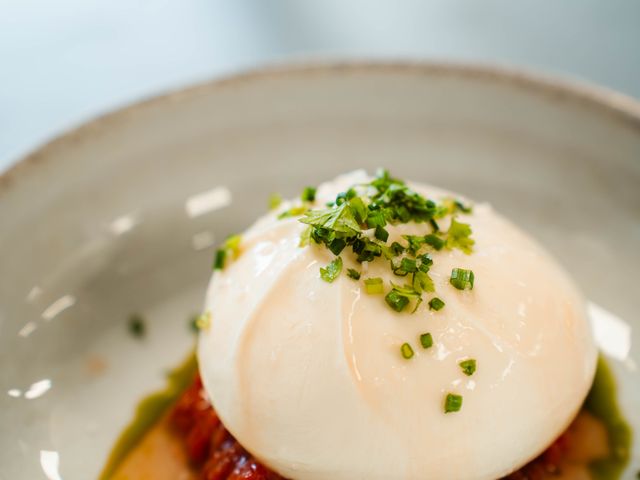 Pâquerette Pâquerette