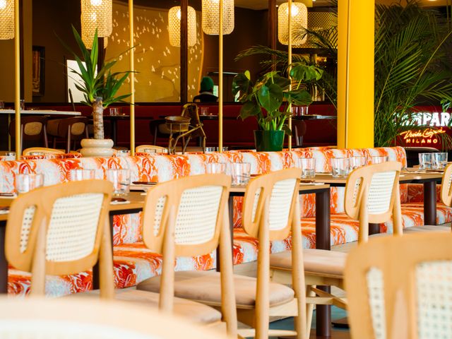 Pâquerette Pâquerette